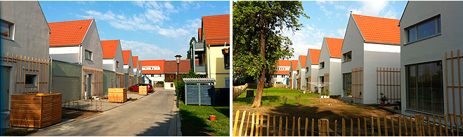 Neubau von 6 Einfamilienhusern in Altktzschenbroda - 